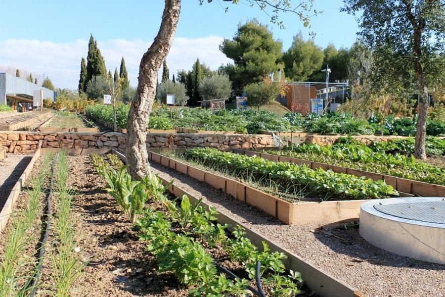 בולאס Centro De Agroecologia Y Medio Ambiente De Murcia מראה חיצוני תמונה