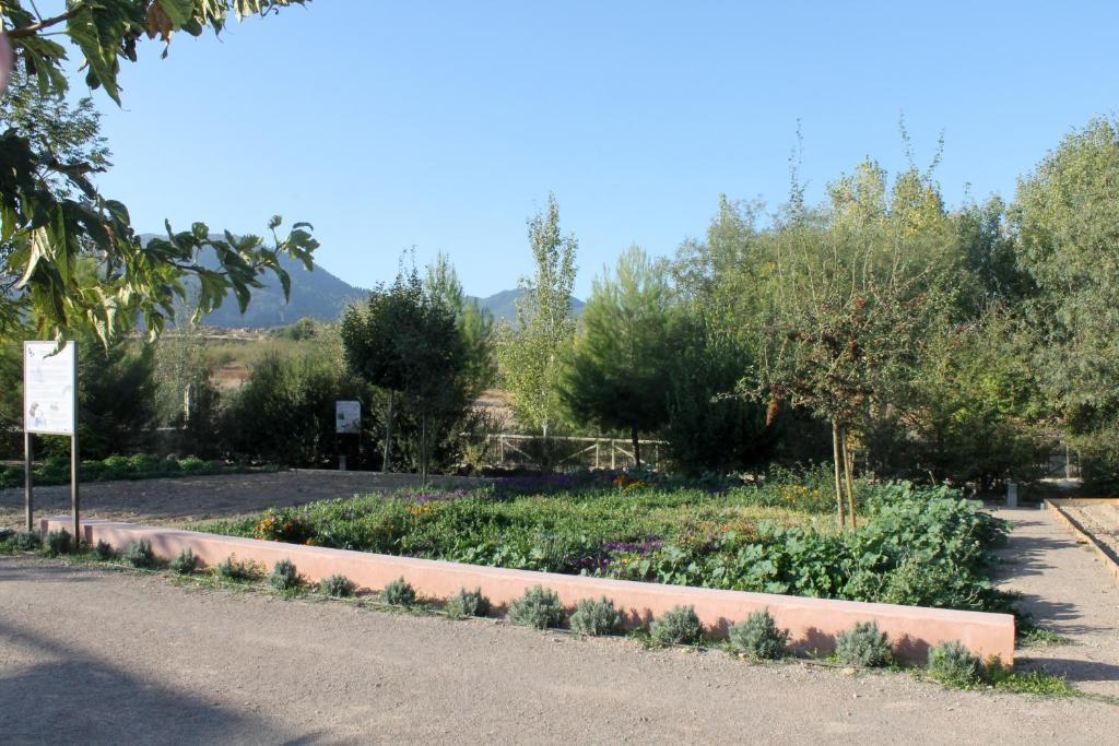 בולאס Centro De Agroecologia Y Medio Ambiente De Murcia חדר תמונה