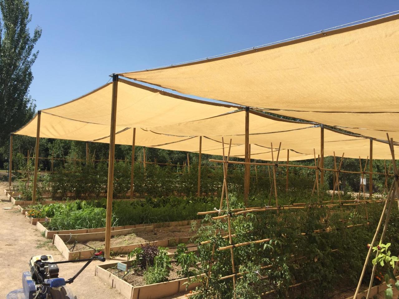 בולאס Centro De Agroecologia Y Medio Ambiente De Murcia מראה חיצוני תמונה