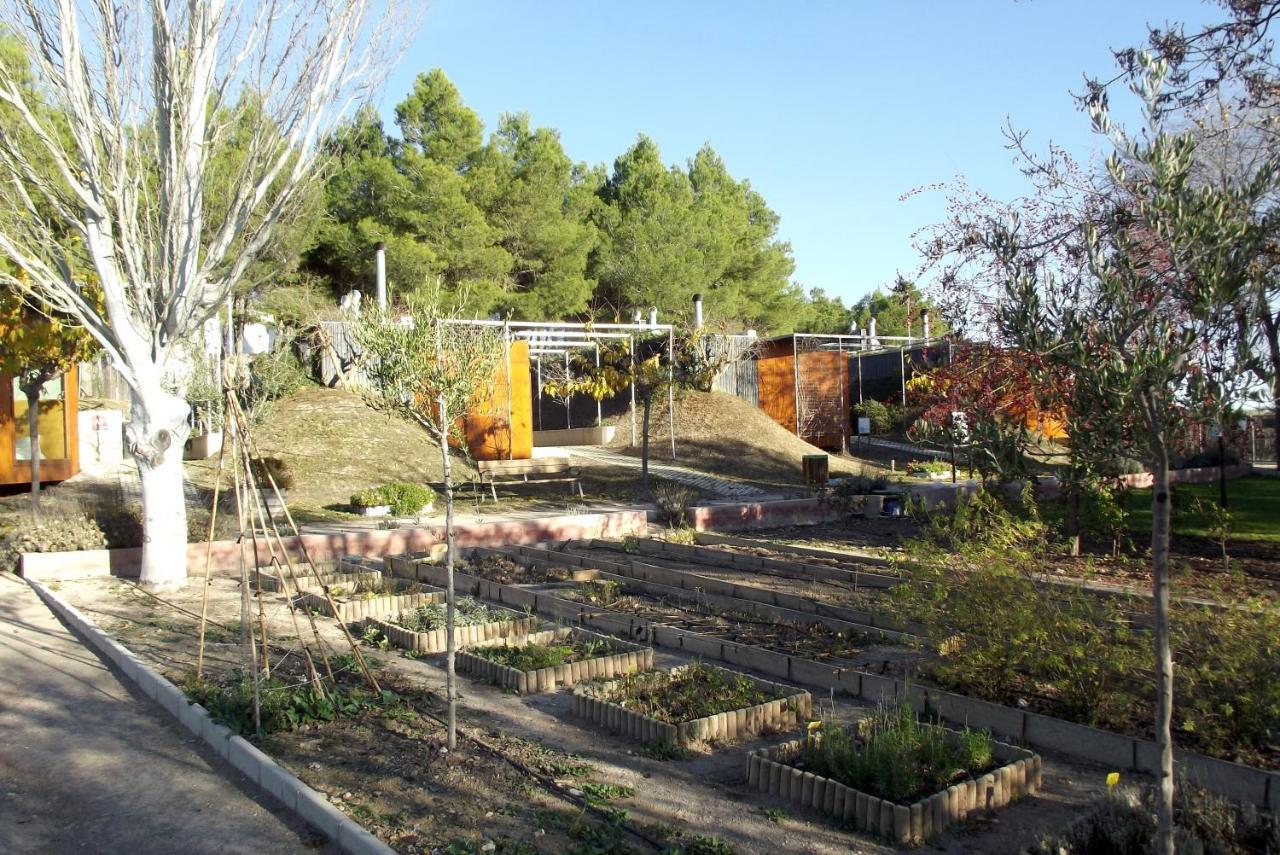 בולאס Centro De Agroecologia Y Medio Ambiente De Murcia מראה חיצוני תמונה