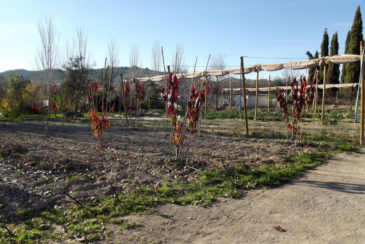 בולאס Centro De Agroecologia Y Medio Ambiente De Murcia מראה חיצוני תמונה