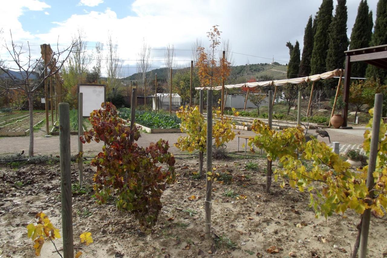 בולאס Centro De Agroecologia Y Medio Ambiente De Murcia מראה חיצוני תמונה